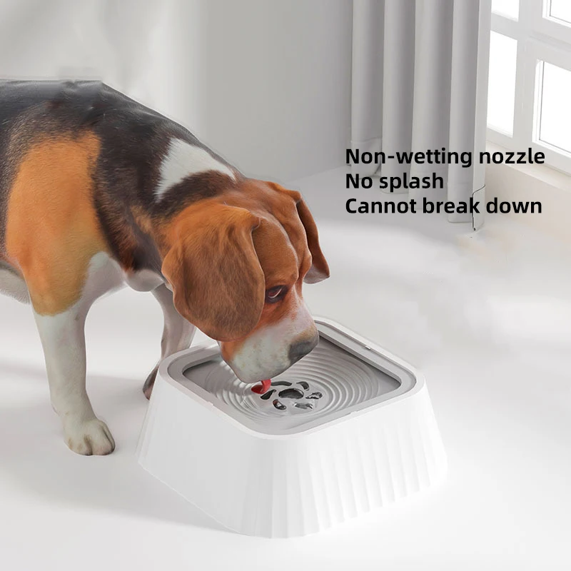 Floating Water Bowl